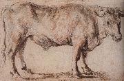 Peter Paul Rubens Bull oil painting on canvas